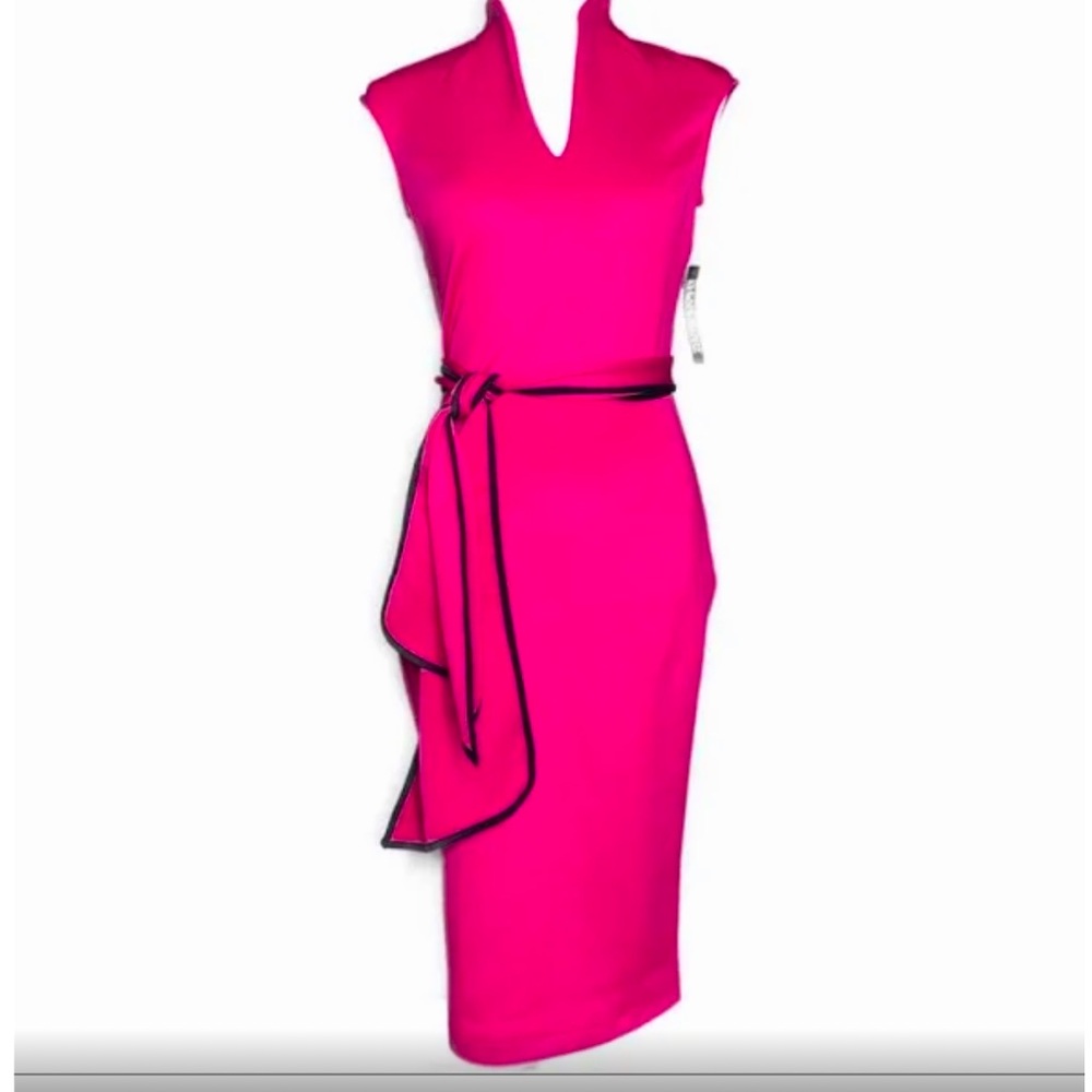 Pink Plush Stretch Dress